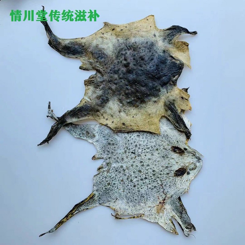 情川堂中药材干脱癞蛤蟆皮整张蟾蜍衣蟾蜍粉10张10张