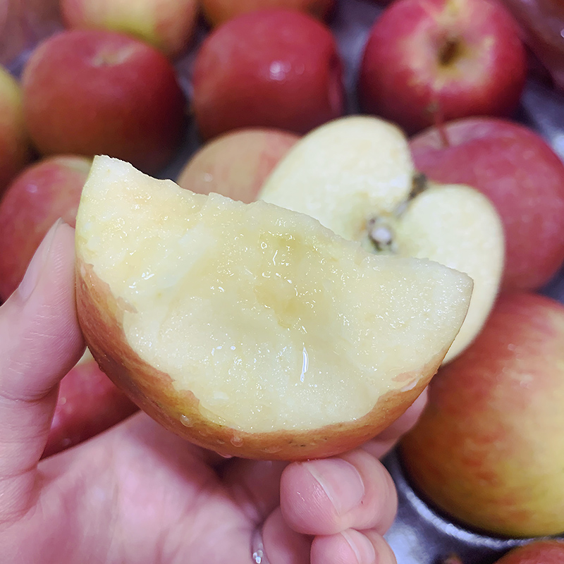 南非牛顿小苹果 富士苹果野生小苹果丑当季整箱新鲜水果 1000g 小果