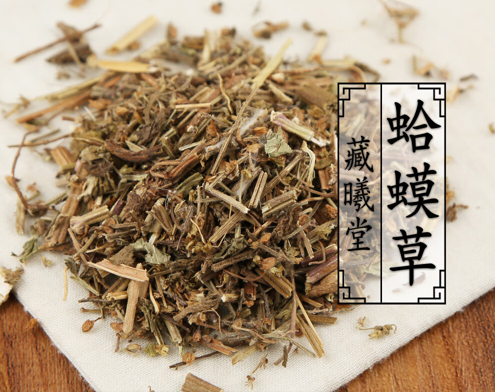 藏曦堂 蛤蟆草 又名蟾蜍草 地胆头 白贯草 猪耳草 饭匙草 七星草等 中