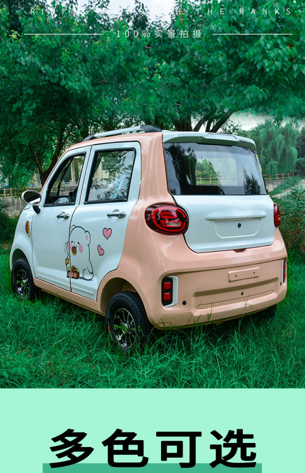 车成人四轮电动车家用女士接送代步车小型新能源油电两用电动四轮车