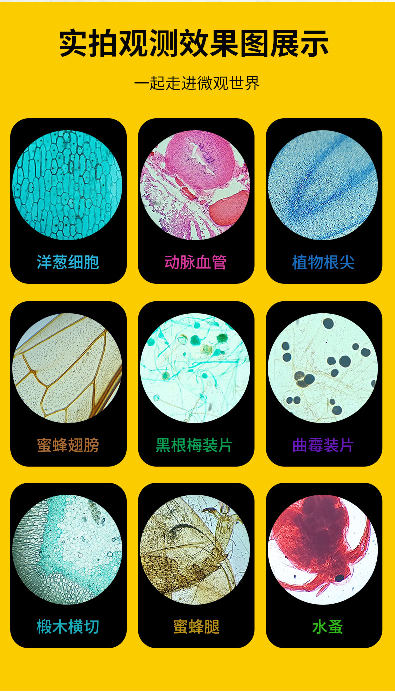 倍家用高倍专业生物看细菌微生物小学生专用6000倍20片标本135种实验