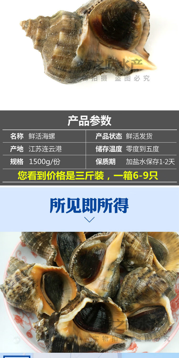 大海螺每斤约3只 一斤【图片 价格 品牌 报价】-京东