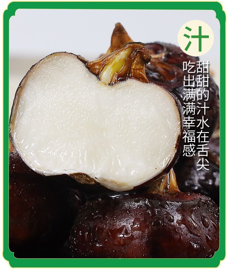 新鲜马蹄荸荠现挖广西荔浦马蹄特大果即食荸荠批发农家马蹄果 3斤大果