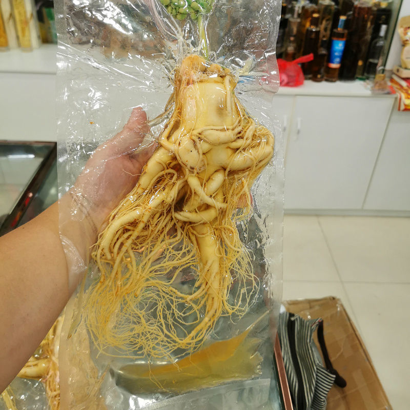 伟博鲜参 泡酒参 鲜活参煲汤参 长白山深山鲜参人参单支鲜参养生滋补