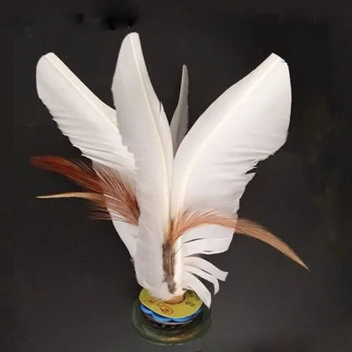 毽子健身比赛专用初学者鸡毛毽耐踢牛筋底学生踢毽子健身花毽 小毽子1