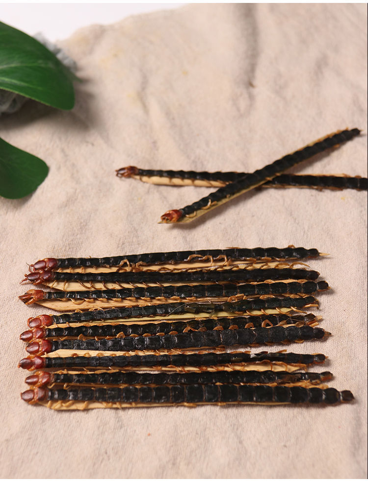 蜈蚣中药材蜈蚣干川足百足虫红头大蜈蚣另售蝎子全蝎水蛭1516公分10条