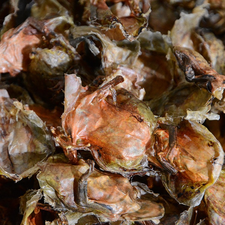 【官方旗舰】林蛙皮干雪蛤蟆皮500克 东北长白山 图片色【图片 价格