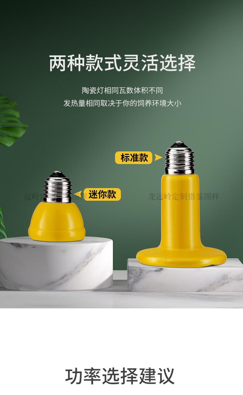 抖音同款陶瓷加热灯宠物爬宠保温灯鬃狮蜥迷你寄居蟹爬虫鹦鹉取暖发热