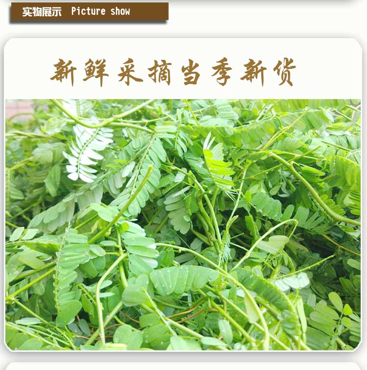 广西鸡骨草叶野生鸡骨草干藤鸡骨草叶子相思叶泡茶250克鸡骨草茶