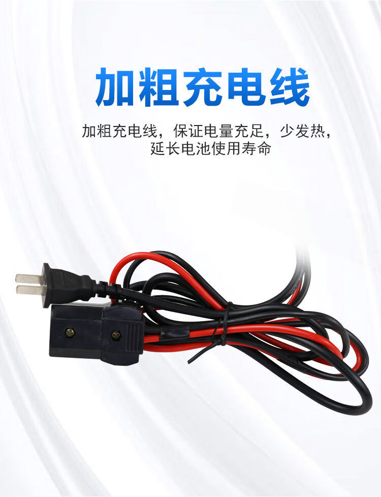 适用于 三轮车水电瓶充电器电子充电机72v伏大功率纯铜48v 60v 58斤