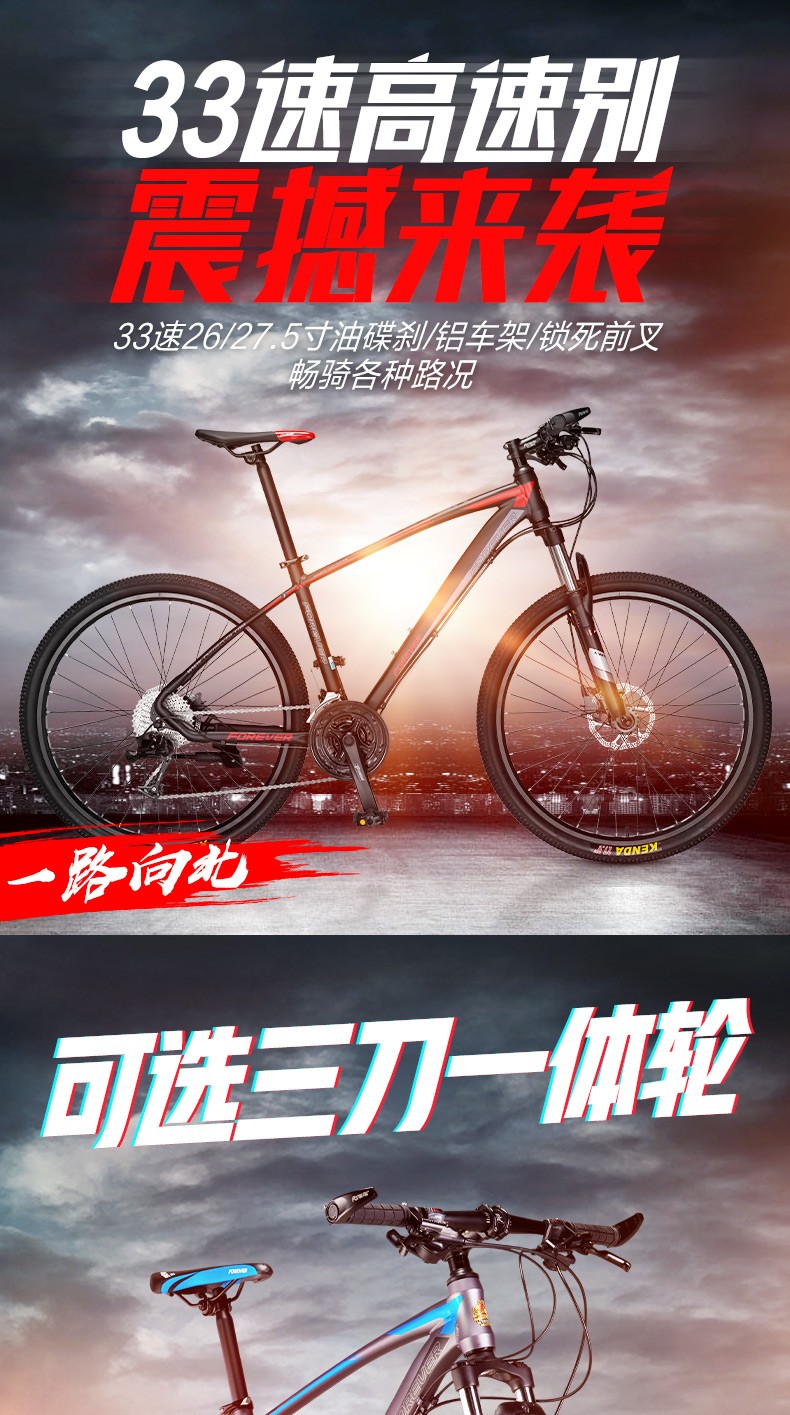 凤凰牌自行车广告语图片