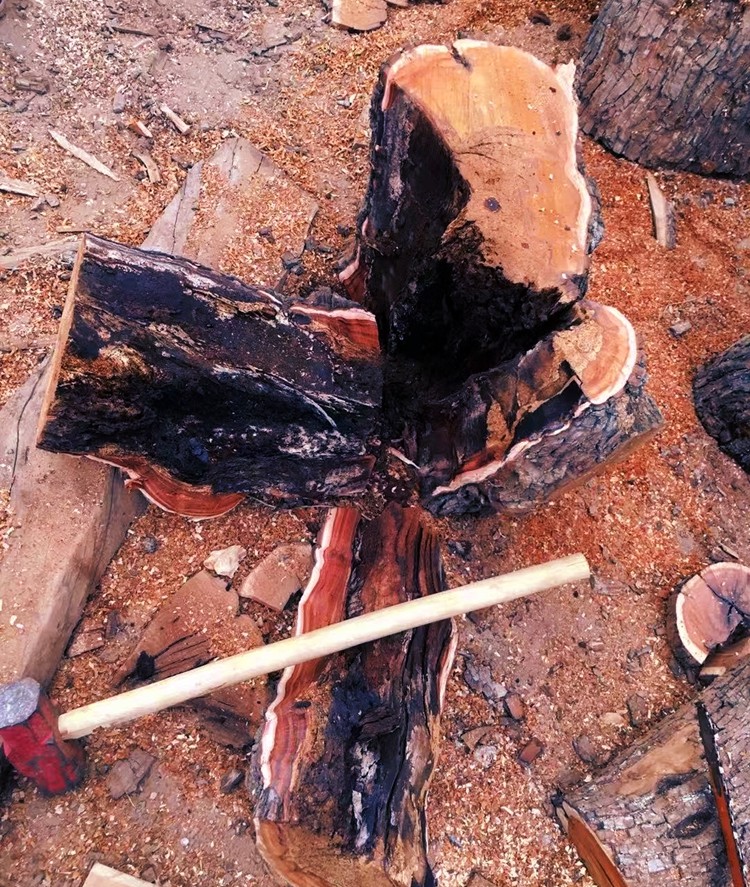 自然雷击木 原木砍伐切割 千年枣树道家法器雷击枣木雷击桃木 随机发