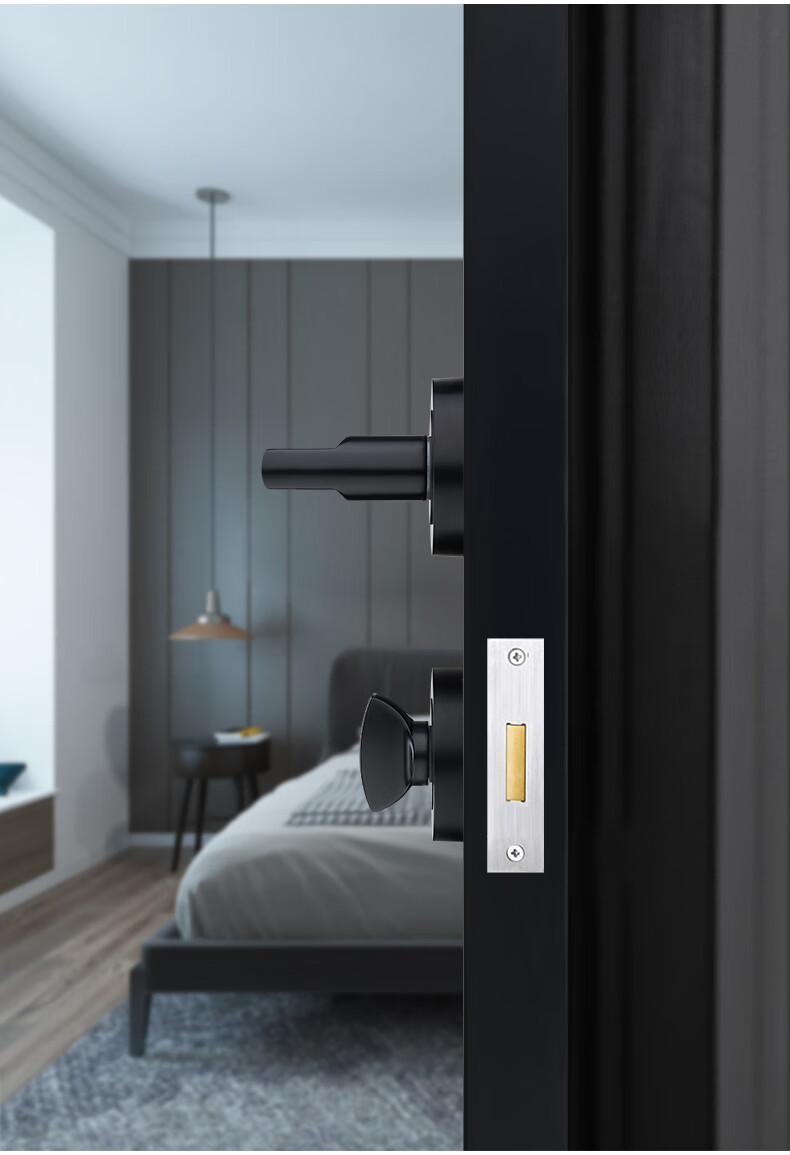 雷鸟22d隐形门锁