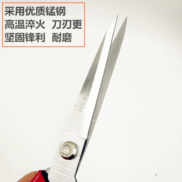 1e652be2b28f9e19.jpg
