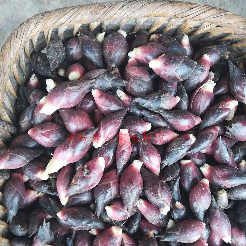 【现货】带泥贵州新鲜洋荷阳荷洋豁农家蔬菜阳荷姜