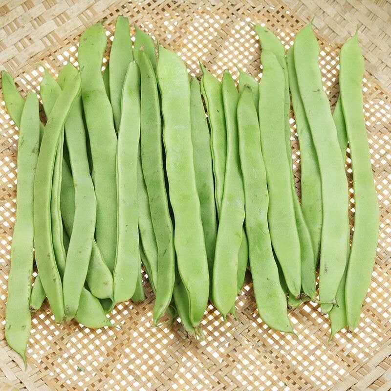 山东扁豆角5斤四季豆新鲜刀豆芸豆农家生鲜蔬菜 5斤