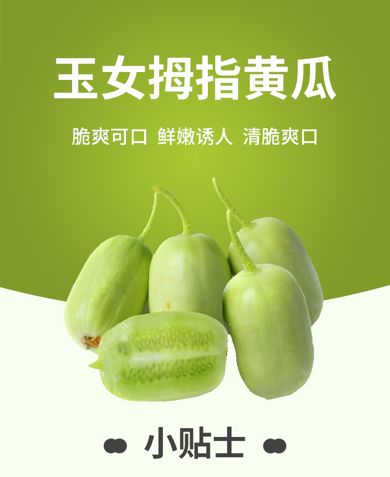 新鲜拇指瓜玉女黄瓜新鲜蔬菜水果小青瓜农家生吃 10斤装【图片 价格