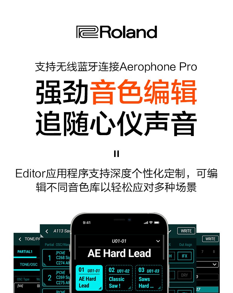 roland罗兰电吹管ae30初学者电萨克斯吹奏电子管笛葫芦丝乐器大全顺丰