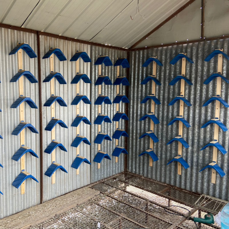 鸽子用品带木条栖架塑料站架鸽子栖息架鸽具休息架鸽子落架鸽栖架加厚