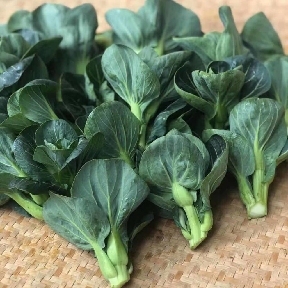常熟青菜苔发货菜心菜苔软糯甜新鲜蔬菜批发 4斤精品保鲜发货【图片