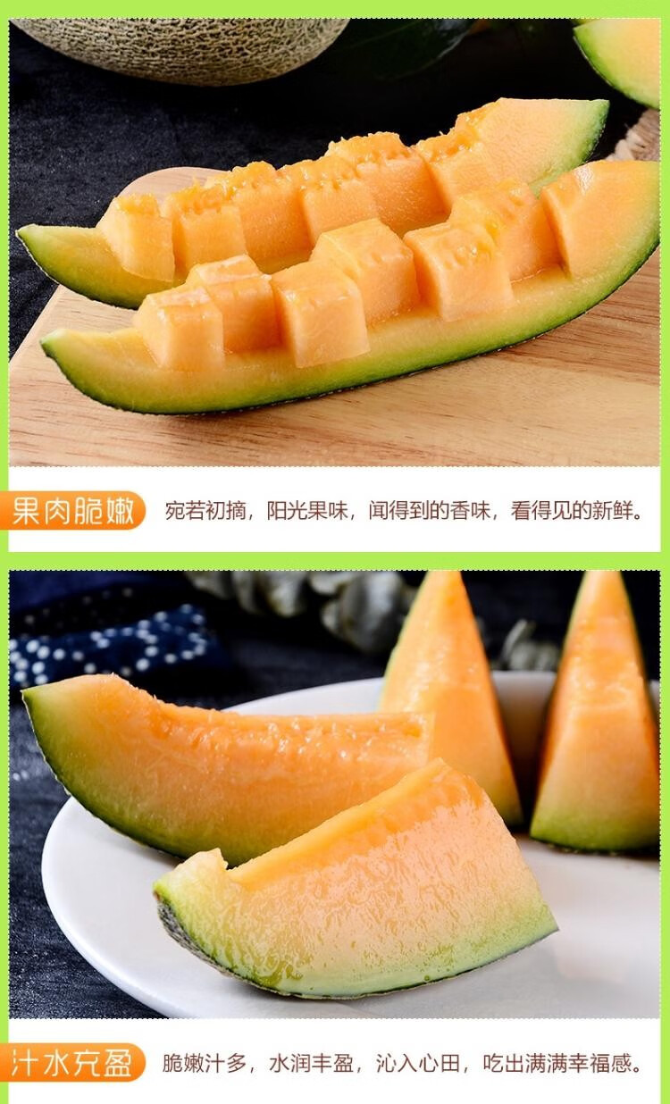 新疆晓蜜哈密瓜新鲜水果网纹瓜香甜蜜瓜 1个