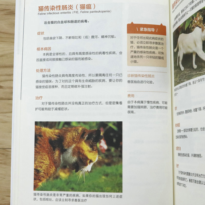 包邮 家居宠物我的宠物书图解宠物常识大百科 摘要书评试读 京东图书