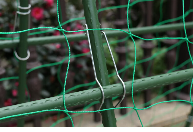 南叶黄瓜爬藤架豆角架花园种菜攀爬架菜地支撑杆架蔬菜包塑钢铁管挂架
