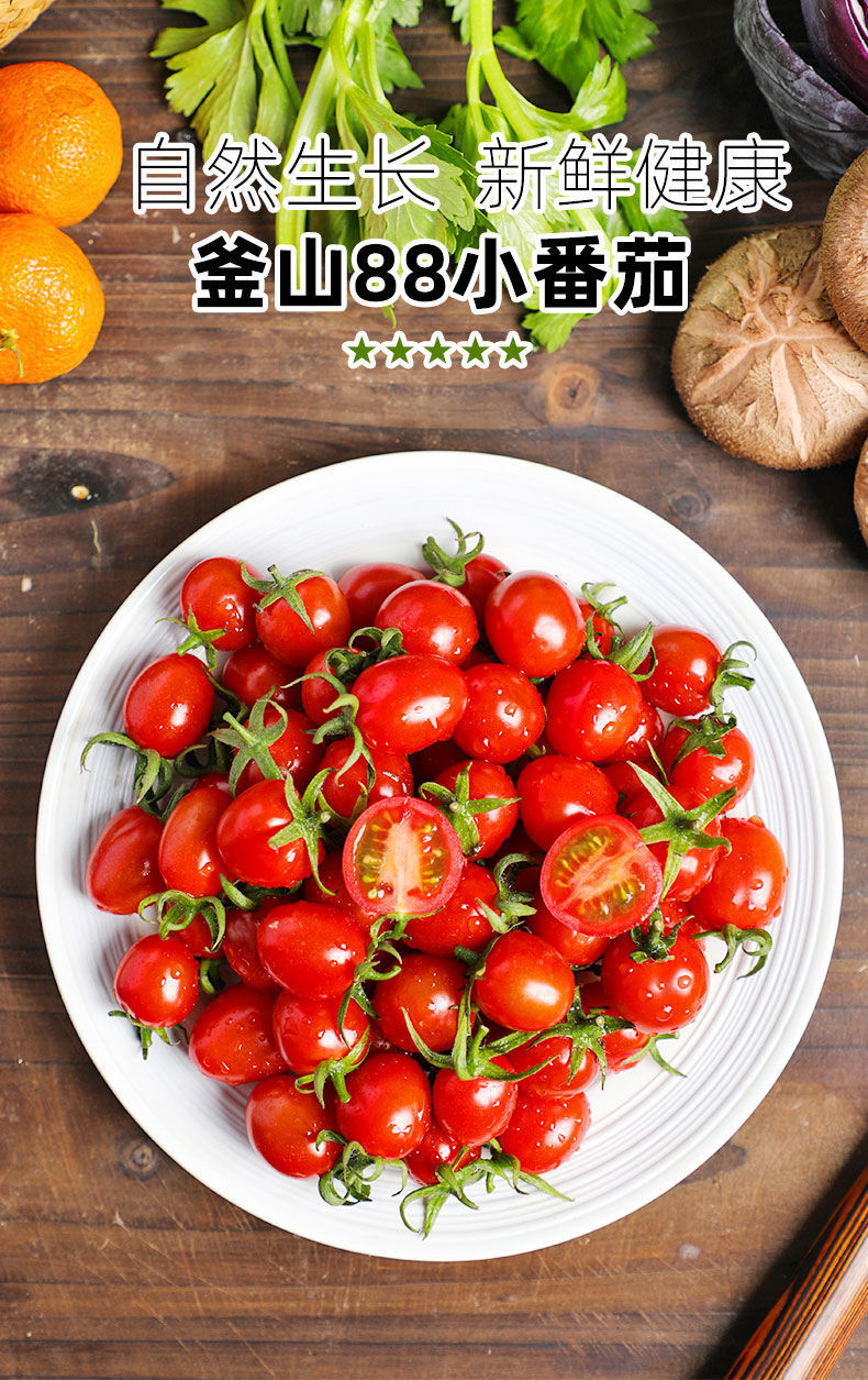 顺丰速运釜山88圣女果黄金圣女果现摘千禧小番茄新鲜孕妇水果黄金圣女