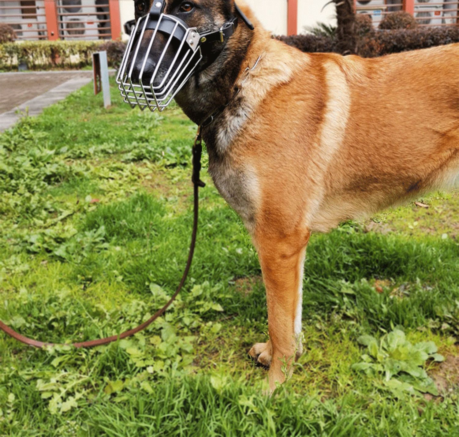 狗狗笼嘴狗嘴套口罩防乱吃防咬人金毛狼狗德牧马犬口笼专用嘴笼大型犬