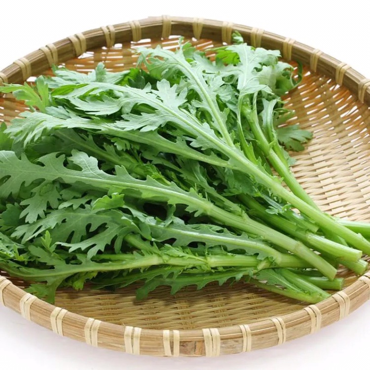 【现货】农家茼蒿菜 新鲜绿叶蔬菜 蓬篙 时令蔬菜 3