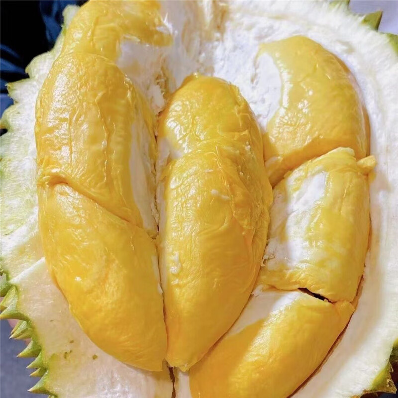 泰国猫山王榴莲长柄青皮干尧水果新鲜金枕小猫一级果自然熟25kg不含