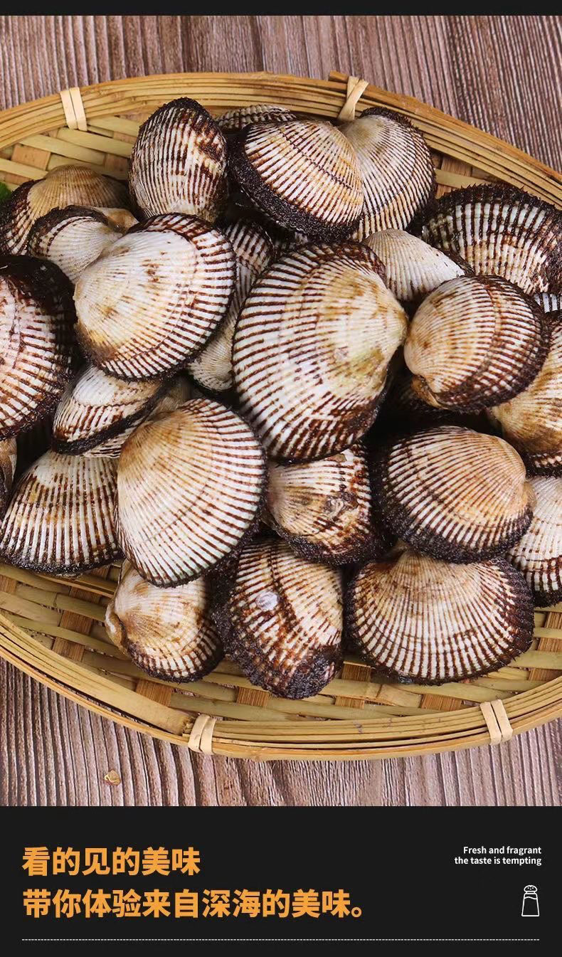 毛蛤蜊鲜活新鲜毛蚶海鲜贝类赤贝血蛤血蚶野生毛哈鲜活海鲜批发 3斤