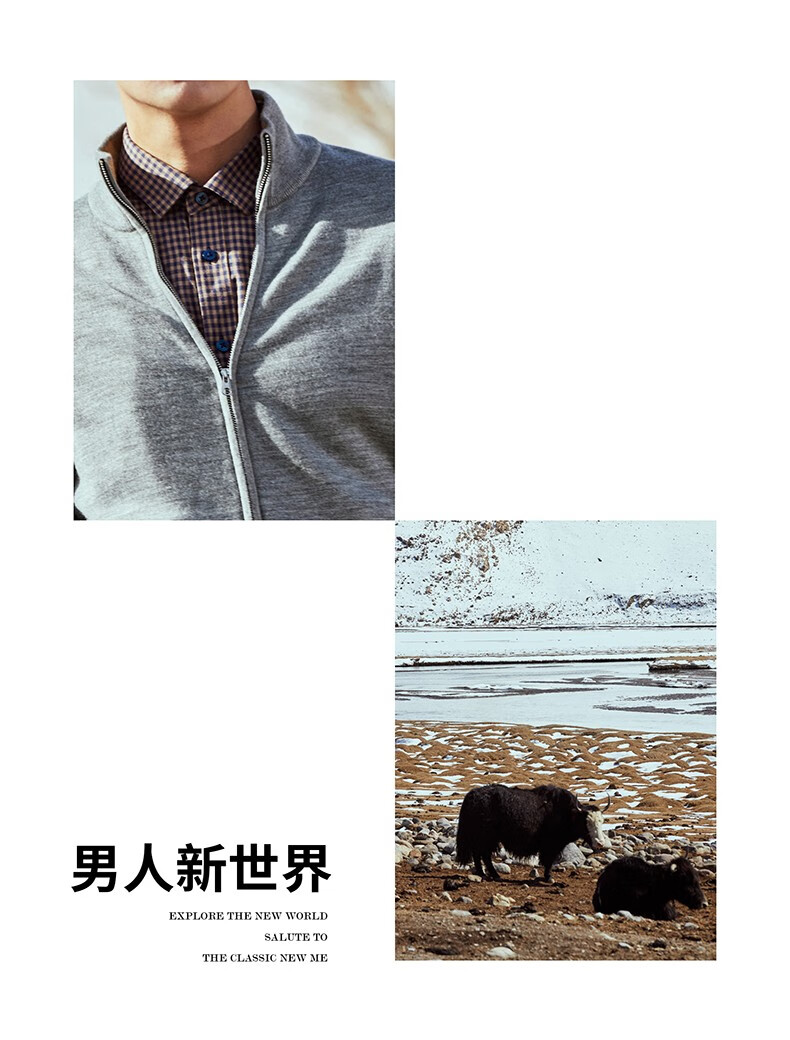 265f98ab8b1ba1e1.jpg