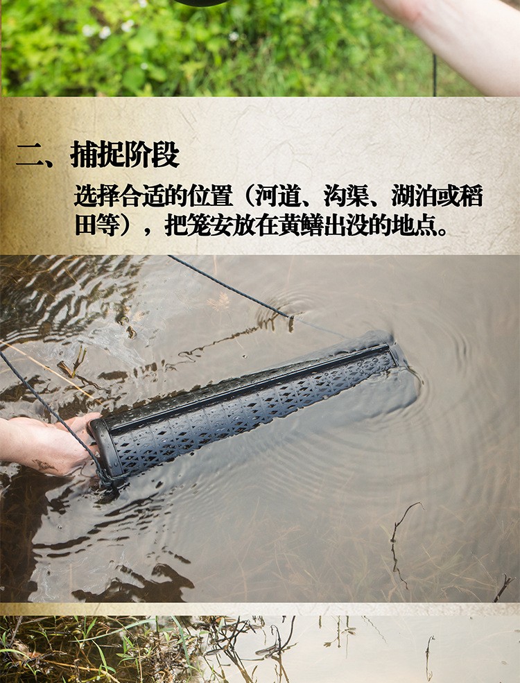 黄鳝笼鱼笼泥鳅笼子捕黄鳝笼子虾笼蟹笼捉黄鳝笼泥鳅笼子可拆卸单进口