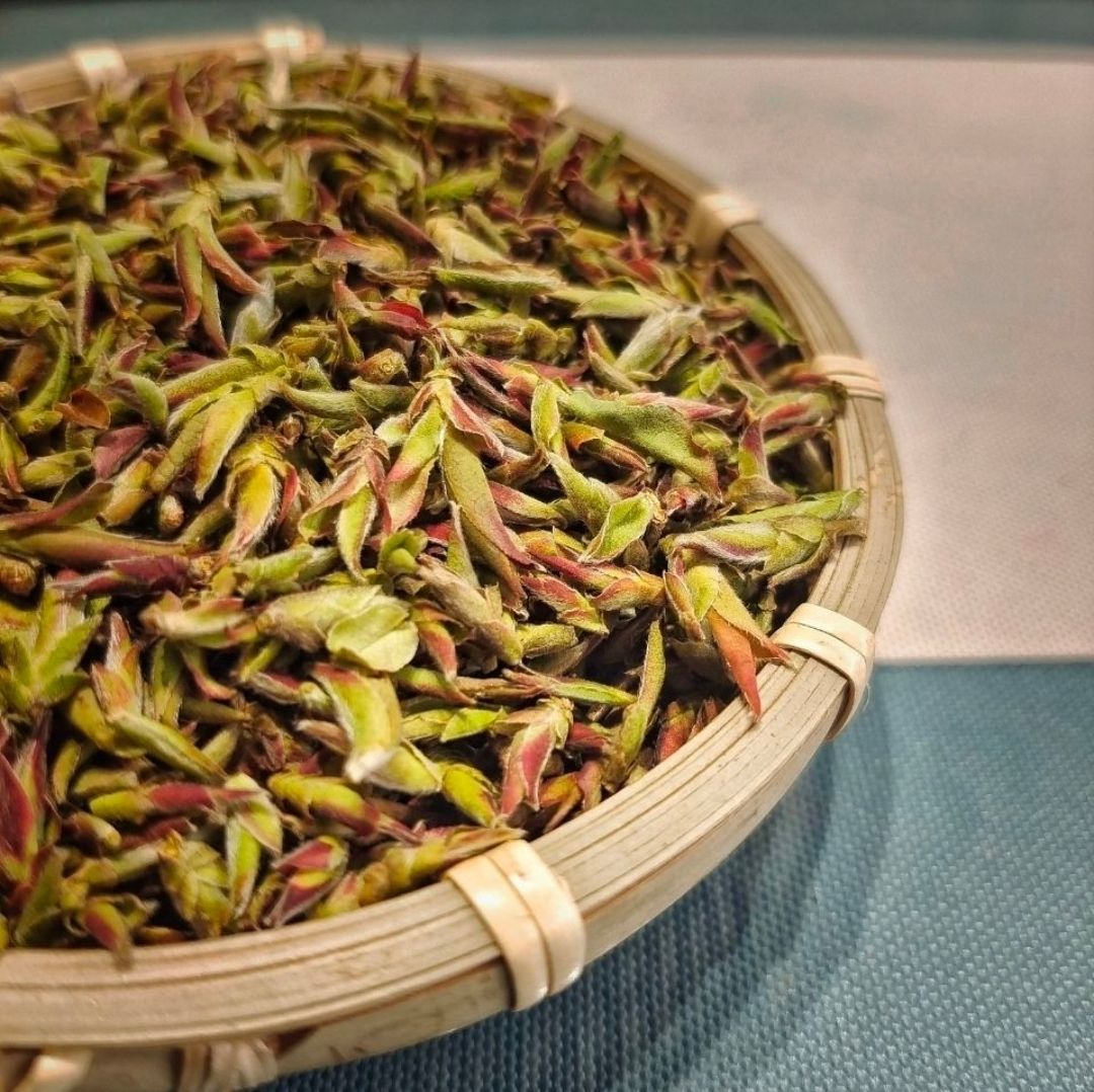 2022年春茶云南紫芽孢茶古树芽孢生茶散茶礼盒装400克