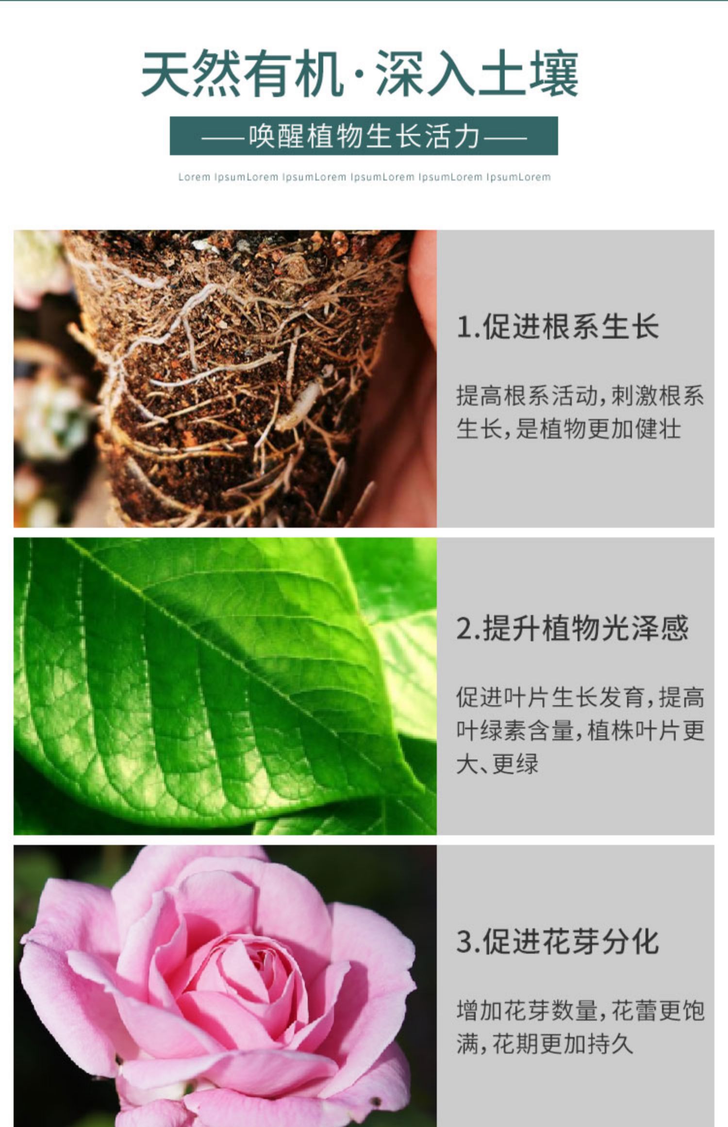 羊粪发酵有机肥鸡粪肥花卉专用盆栽植物通用型养花有机肥料 5斤羊粪肥