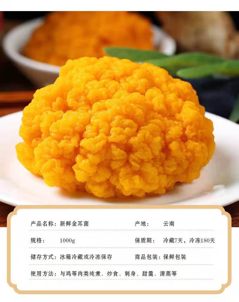 云南野生金耳新鲜非干货金耳菌鲜金耳菌菇黄耳菌黄金耳大500g煲汤 金