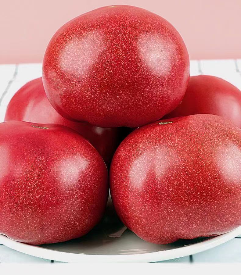 山东普罗旺斯西红柿生吃沙瓤洋柿子番茄西红柿批发实惠装2斤