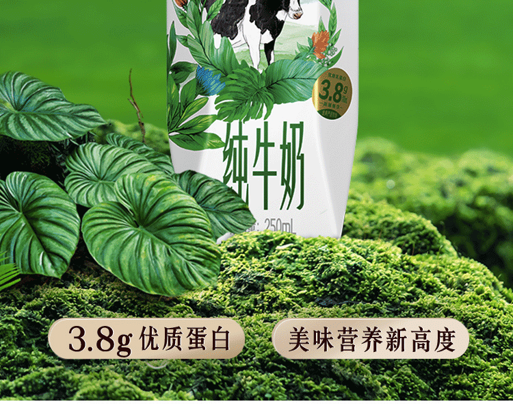伊利 金典纯牛奶梦幻盖250ml*10盒\箱 3.8g乳蛋白 金典纯牛奶梦幻盖*1箱