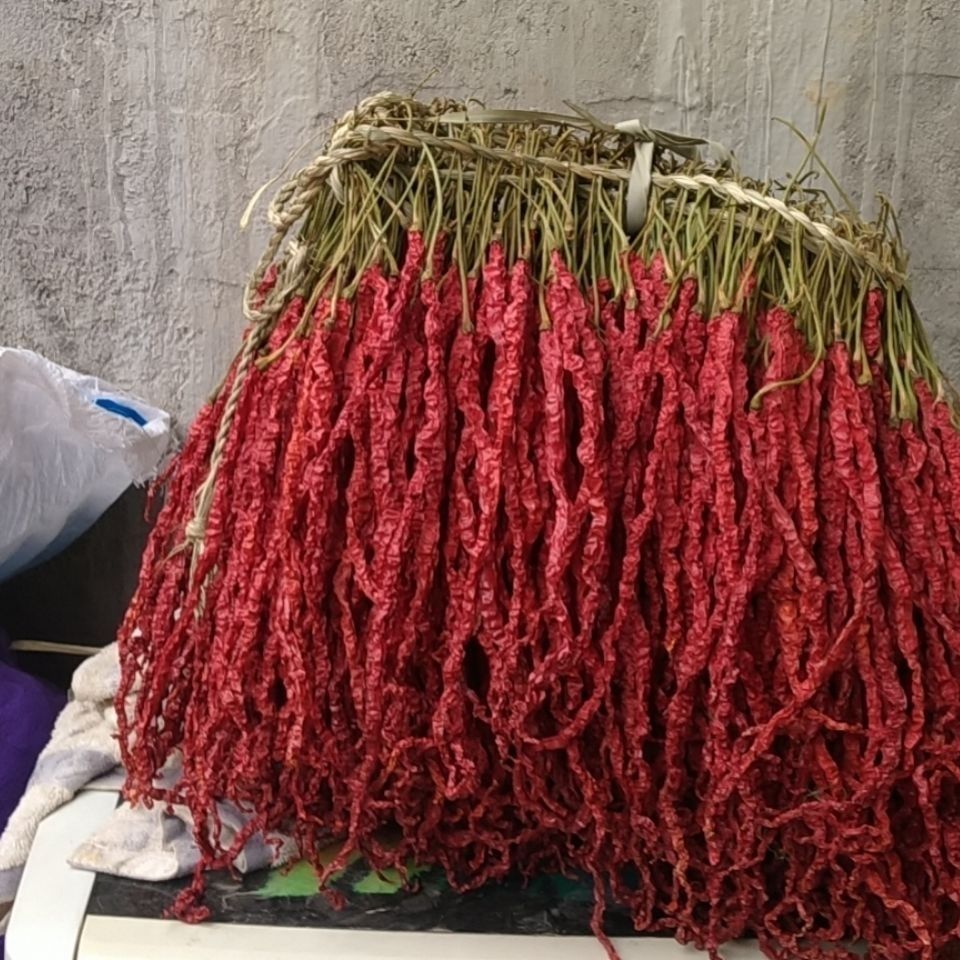 贵州毕节大方特产皱椒又名鸡爪辣香辣可口贵州大方特产辣椒 长扎500g