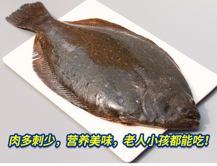 三蟹島 鴉片魚整條 新鮮 比目魚 大鰈魚 偏口魚 深海鰈魚碟魚 生鮮