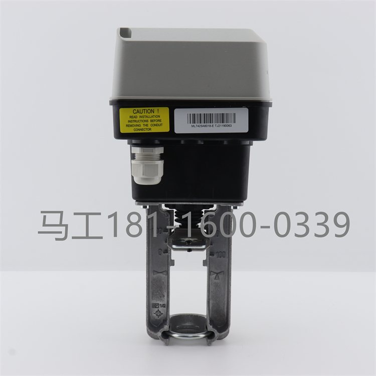 4b90506ef11888b8.jpg