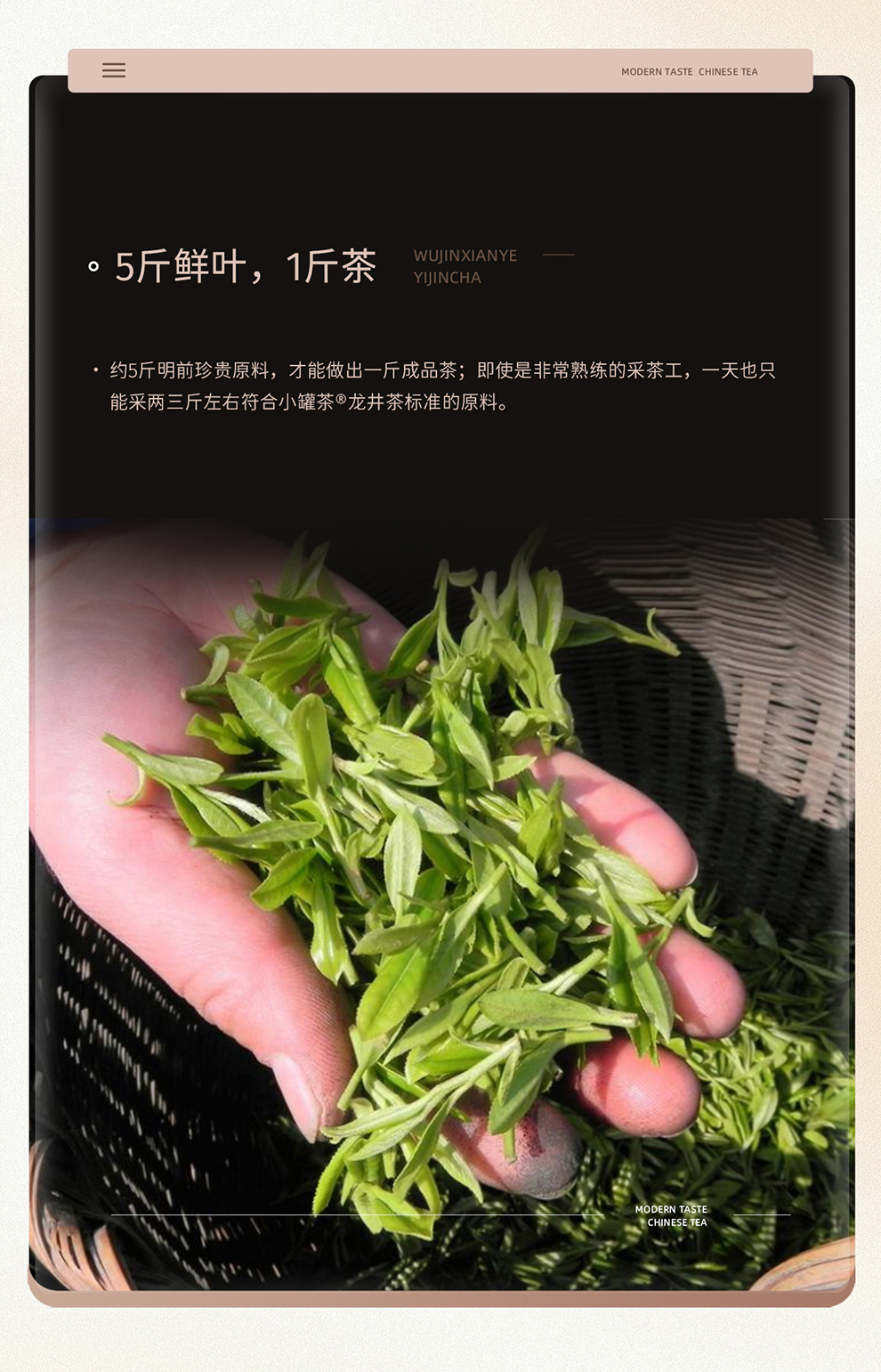 博鳌亚洲论坛官方指定用茶小罐茶茶叶2021年特级明前