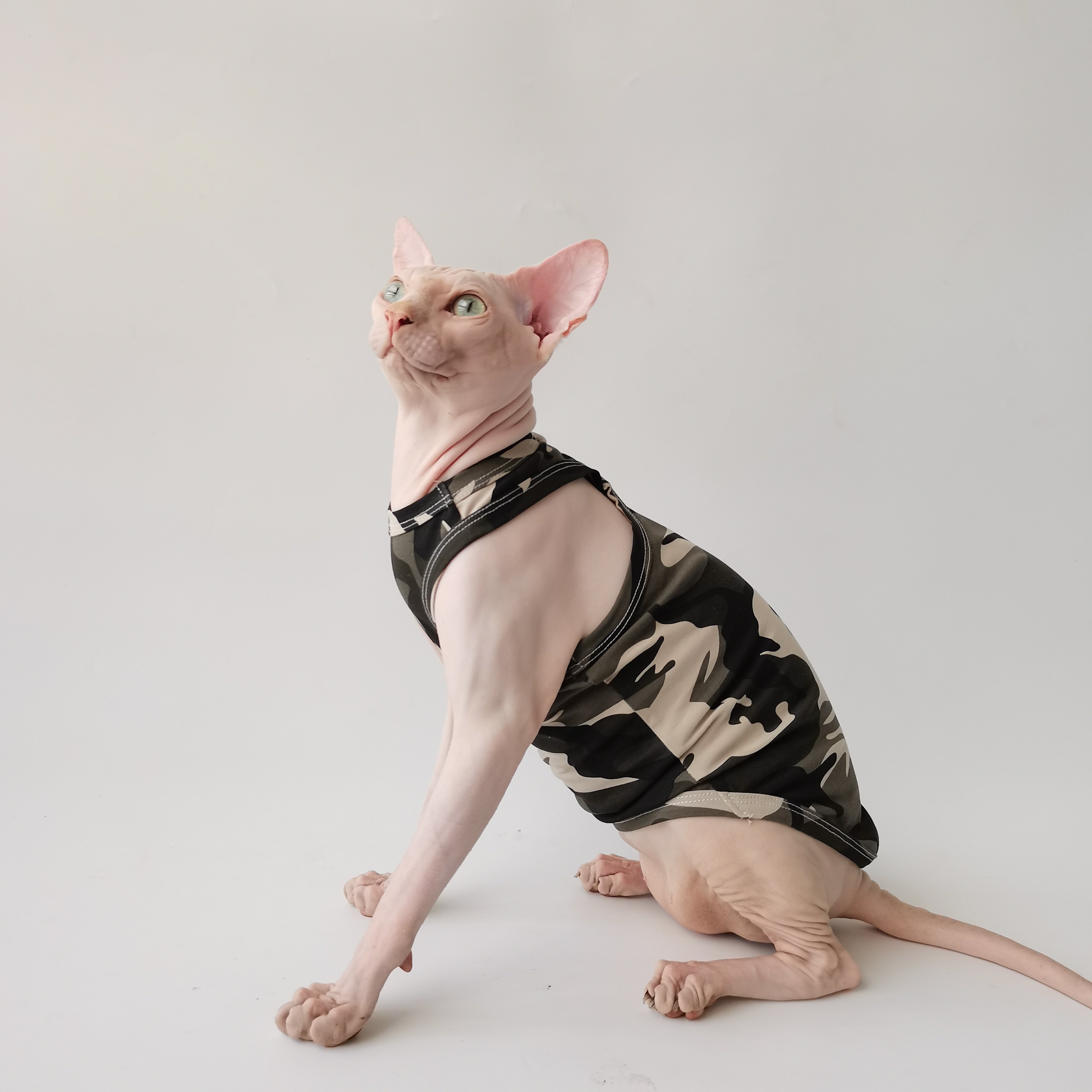 斯芬克斯无毛猫德文宠物衣服定制迷彩工字纯棉背心夏季薄款 迷彩背心