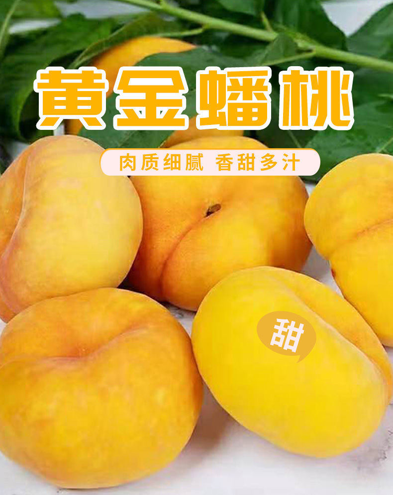 陕西黄金蟠桃应季水果新鲜现摘桃子2
