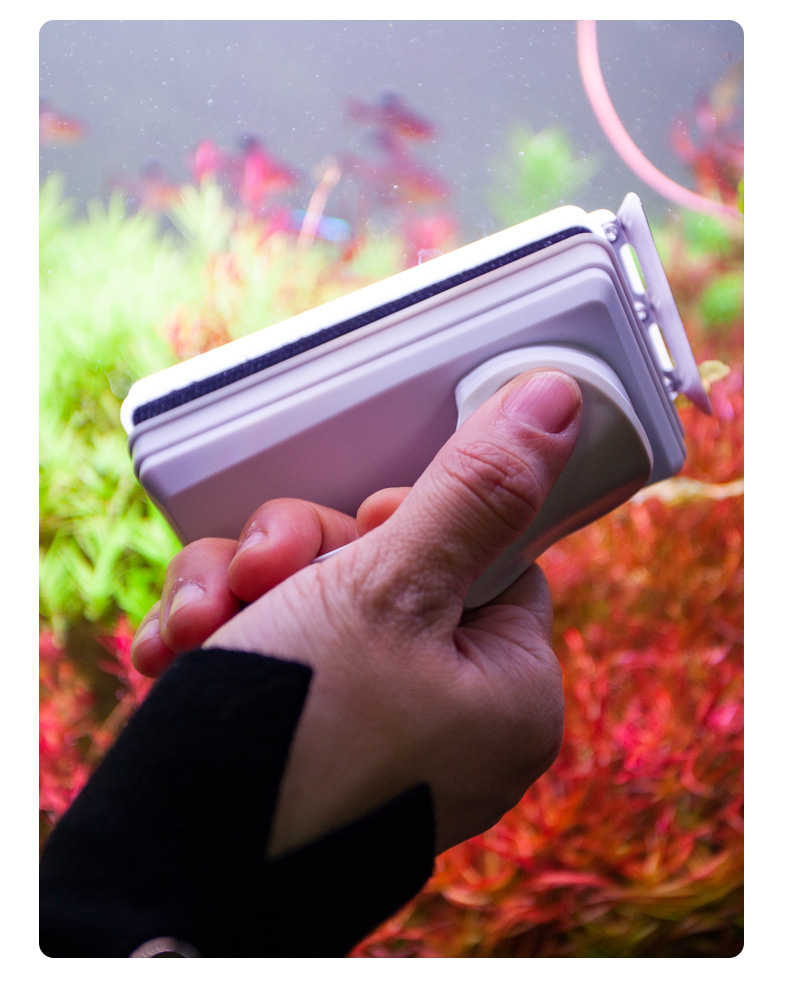 艾隆达ilonda鱼缸刷磁力刷玻璃擦鱼缸清洁工具带刮藻刀无死角清理水族