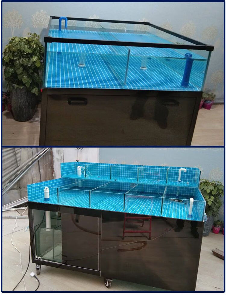 移动海鲜池制冷机一体玻璃海鲜缸贝类池商用饭店酒店超市水产鱼缸