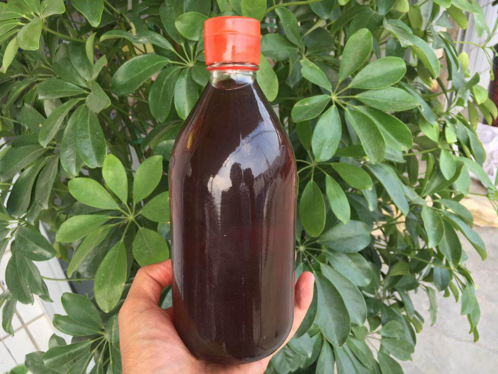 晨臻 小磨香油河南特产农家自榨石磨纯芝麻油正宗家用500ml瓶装 0ml