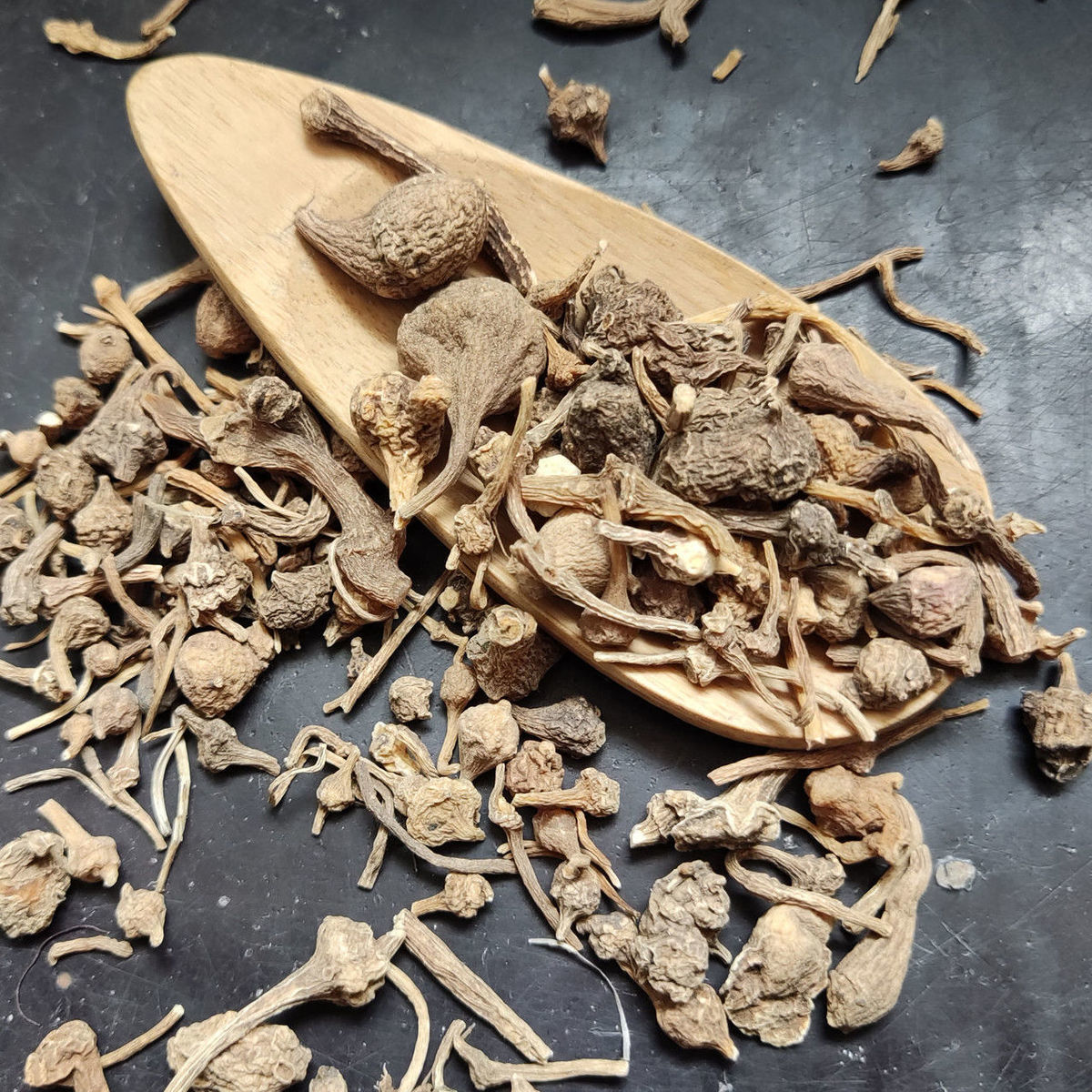 伟博珠儿参 野生珠子参 扣子七 钮子七 有竹节三七 猪儿参 中药材店铺