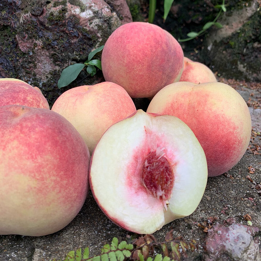 山东蒙阴金秋红蜜桃4.5-5斤 新鲜水果水蜜桃桃子 【金秋红蜜】彩箱4.